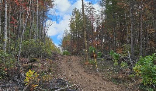 Photo #22 of 125 Ahart Ridge, Ararat, VA 163.0 acres