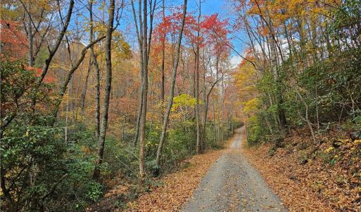 Photo #7 of 125 Ahart Ridge, Ararat, VA 163.0 acres