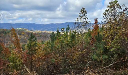 Photo #20 of 125 Ahart Ridge, Ararat, VA 163.0 acres