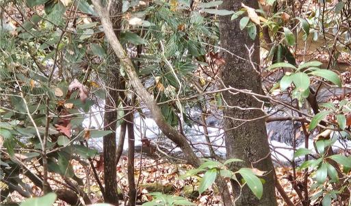 Photo #24 of 125 Ahart Ridge, Ararat, VA 163.0 acres