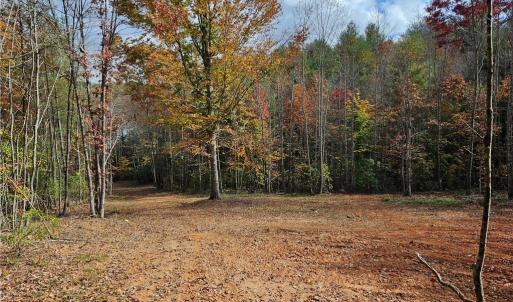 Photo #18 of 125 Ahart Ridge, Ararat, VA 163.0 acres
