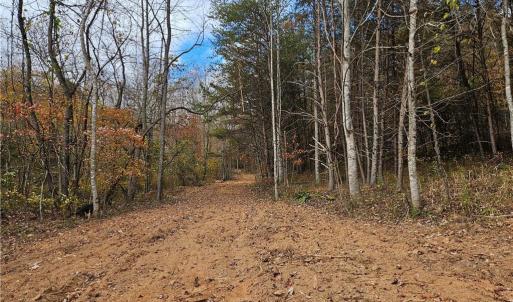 Photo #15 of 125 Ahart Ridge, Ararat, VA 163.0 acres