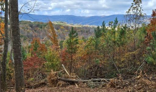 Photo #19 of 125 Ahart Ridge, Ararat, VA 163.0 acres