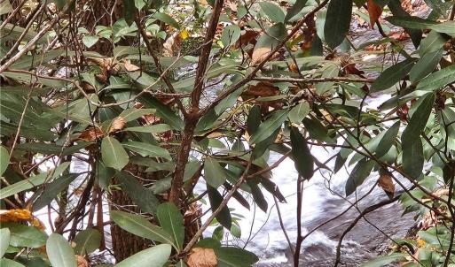 Photo #25 of 125 Ahart Ridge, Ararat, VA 163.0 acres