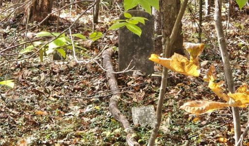 Photo #21 of 125 Ahart Ridge, Ararat, VA 163.0 acres