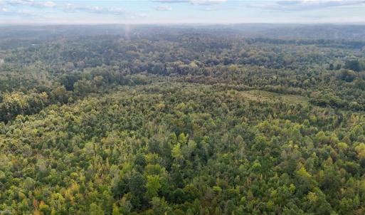 Photo #13 of High Rock School, Blanch, NC 22.4 acres