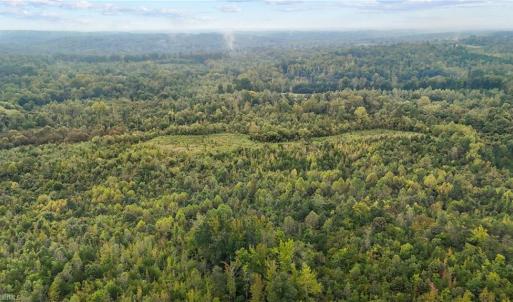 Photo #12 of High Rock School, Blanch, NC 22.4 acres