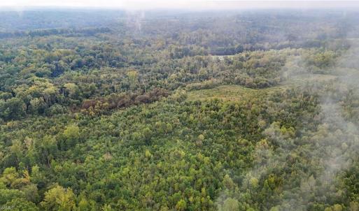 Photo #10 of High Rock School, Blanch, NC 22.4 acres