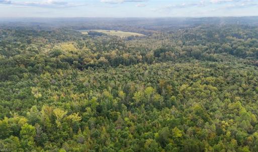 Photo #14 of High Rock School, Blanch, NC 22.4 acres