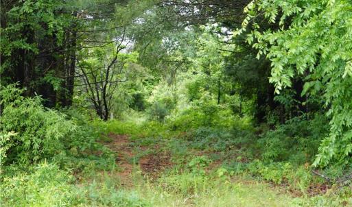 Photo #15 of 253 Urban, Thomasville, NC 5.3 acres