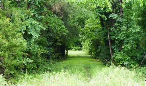 Photo #11 of 253 Urban, Thomasville, NC 5.3 acres