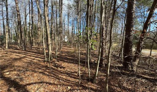 Photo #5 of 4601 Harwood, Greensboro, NC 0.5 acres