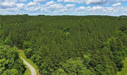 Photo #23 of 1240 Moschler, Gretna, VA 512.9 acres