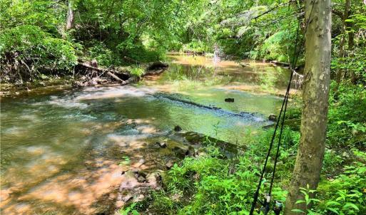Photo #27 of 1240 Moschler, Gretna, VA 512.9 acres