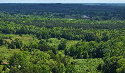 Photo #6 of 1240 Moschler, Gretna, VA 512.9 acres