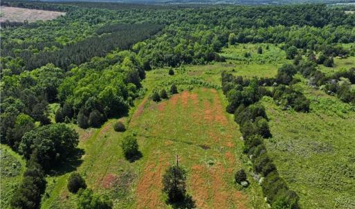 Photo #13 of 1240 Moschler, Gretna, VA 512.9 acres
