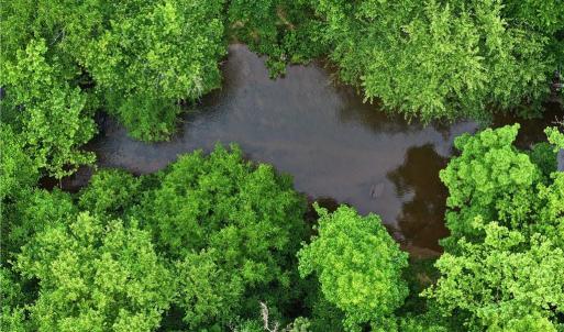 Photo #17 of 1240 Moschler, Gretna, VA 512.9 acres