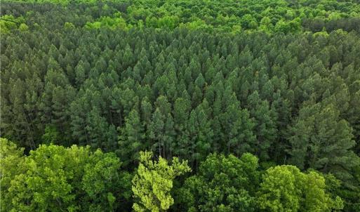 Photo #16 of 1240 Moschler, Gretna, VA 512.9 acres