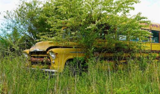 Photo #26 of 1240 Moschler, Gretna, VA 512.9 acres