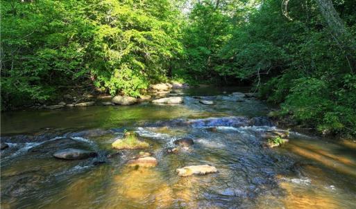 Photo #22 of 1240 Moschler, Gretna, VA 512.9 acres