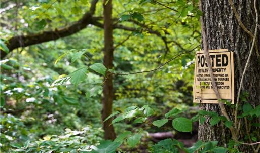 Photo #32 of 1240 Moschler, Gretna, VA 512.9 acres