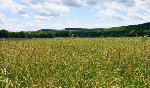 Photo #28 of 1240 Moschler, Gretna, VA 512.9 acres