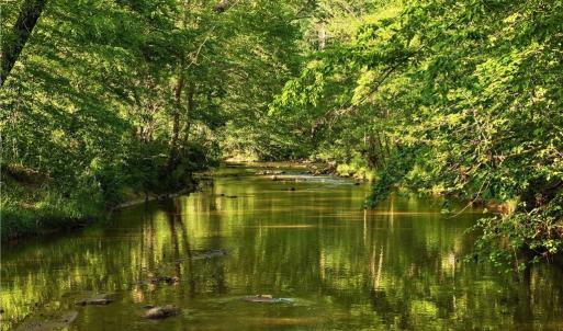 Photo #20 of 1240 Moschler, Gretna, VA 512.9 acres