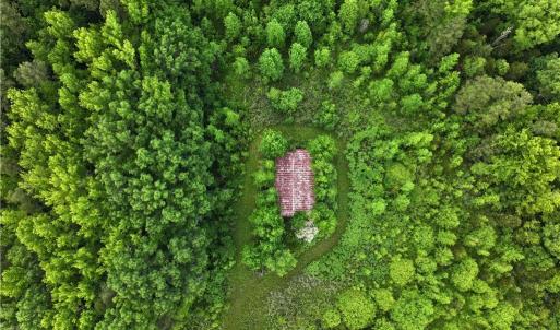 Photo #9 of 1240 Moschler, Gretna, VA 512.9 acres