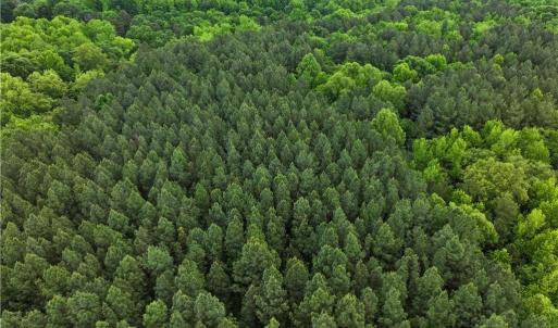 Photo #24 of 1240 Moschler, Gretna, VA 512.9 acres