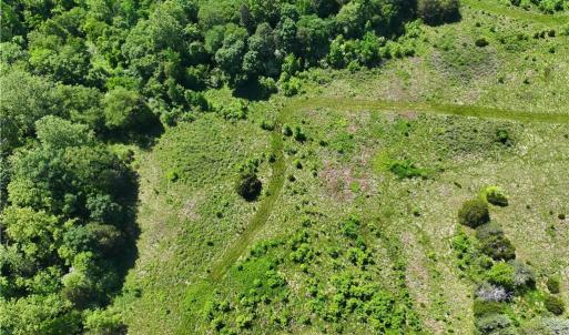 Photo #18 of 1240 Moschler, Gretna, VA 512.9 acres