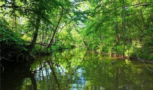 Photo #8 of 1240 Moschler, Gretna, VA 512.9 acres