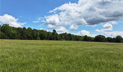 Photo #21 of 1240 Moschler, Gretna, VA 512.9 acres