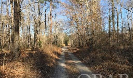 Photo #11 of Mallard Drive, Roper, NC