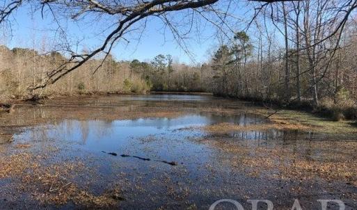 Photo #12 of Mallard Drive, Roper, NC
