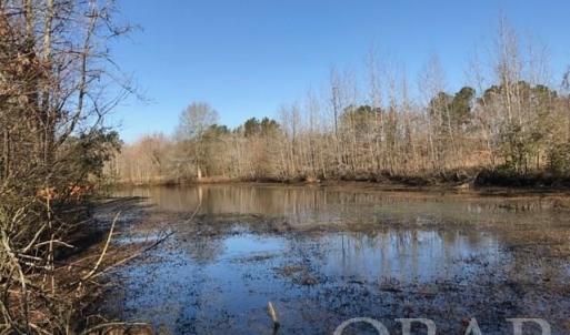 Photo #13 of Mallard Drive, Roper, NC