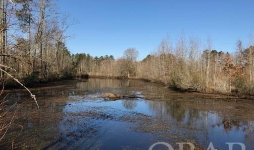 Photo #14 of Mallard Drive, Roper, NC