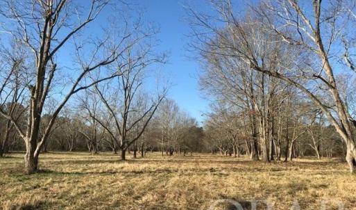 Photo #17 of Mallard Drive, Roper, NC