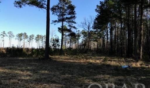 Photo #18 of Mallard Drive, Roper, NC