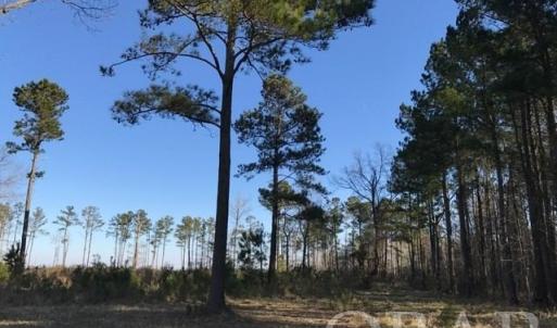 Photo #19 of Mallard Drive, Roper, NC