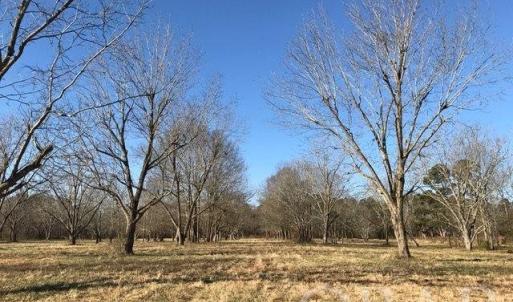 Photo #20 of Mallard Drive, Roper, NC