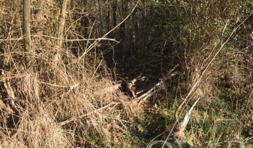 Photo #3 of Mallard Drive, Roper, NC