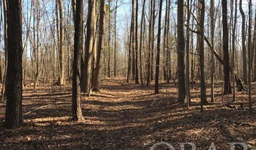 Photo #27 of Mallard Drive, Roper, NC