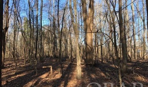 Photo #28 of Mallard Drive, Roper, NC