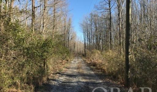Photo #29 of Mallard Drive, Roper, NC