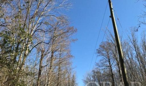 Photo #30 of Mallard Drive, Roper, NC
