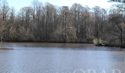 Photo #32 of Mallard Drive, Roper, NC