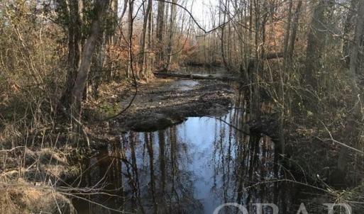 Photo #6 of Mallard Drive, Roper, NC