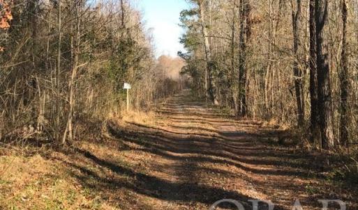 Photo #8 of Mallard Drive, Roper, NC