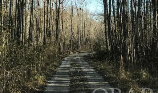 Photo #9 of Mallard Drive, Roper, NC