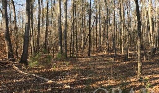 Photo #10 of Mallard Drive, Roper, NC